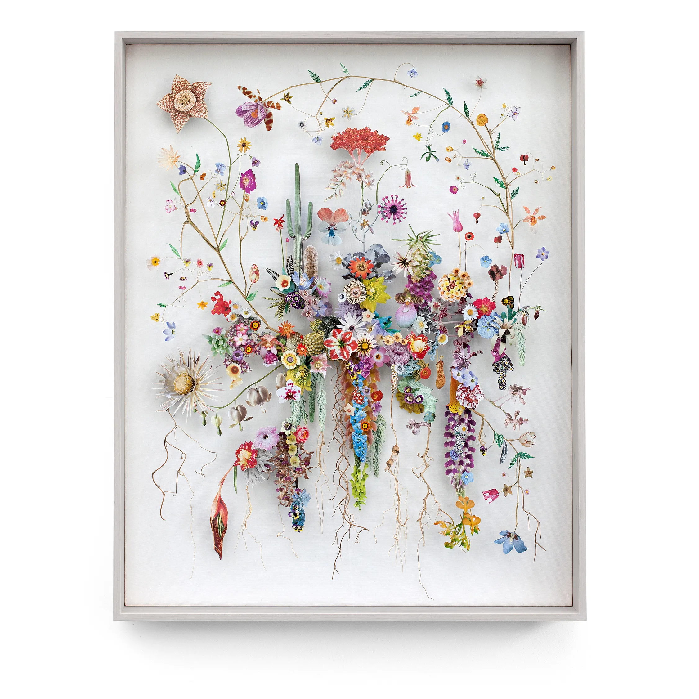 Anne ten Donkelaar - Image 2